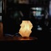 3D Printed Table Lamp w/ Wood Base, White - L24213