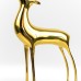 Brass Deer, Small - A21029S