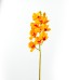 Cymbidium, Yellow - H238001-Y