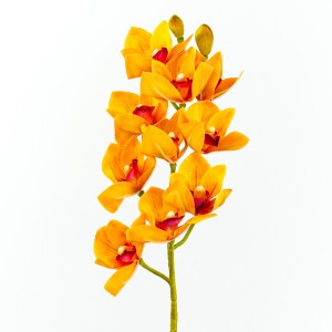 Cymbidium, Yellow - H238001-Y