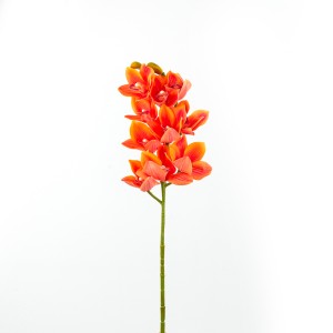 Cymbidium, Orange - H238001-O