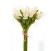 Mini Tulip, 12 Flowers, White - H19118016-W