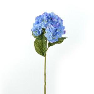 Hydrangea, Blue - H19118010-B