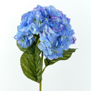 Hydrangea, Blue - H19118010-B