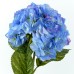 Hydrangea, Blue - H19118010-B