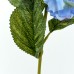 Hydrangea, Blue - H19118010-B