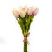 Mini Tulip, 12 Flowers, Pink - H19118016-P