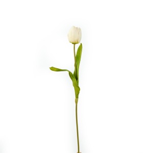 Tulip, White - CH0645-W