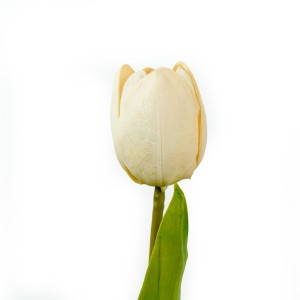 Tulip, White - CH0645-W