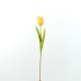 Tulip, Yellow - CH0645-Y