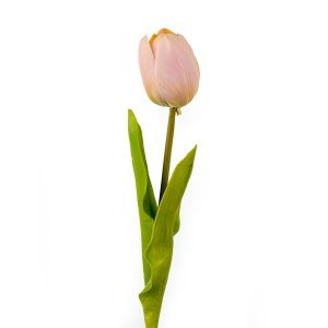 Tulip, Pink - CH0645-P