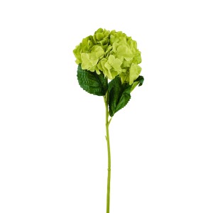 Hydrangea, Green - H19118010-G