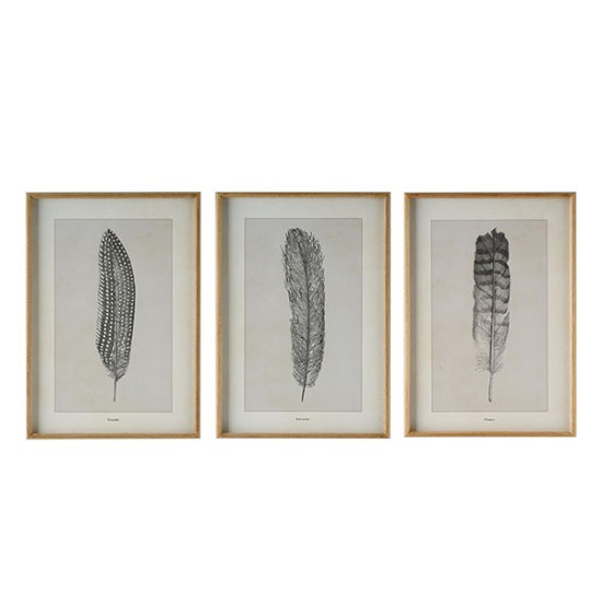 Wood Framed Wall Art w/ Feather, Set of 3 - W20006